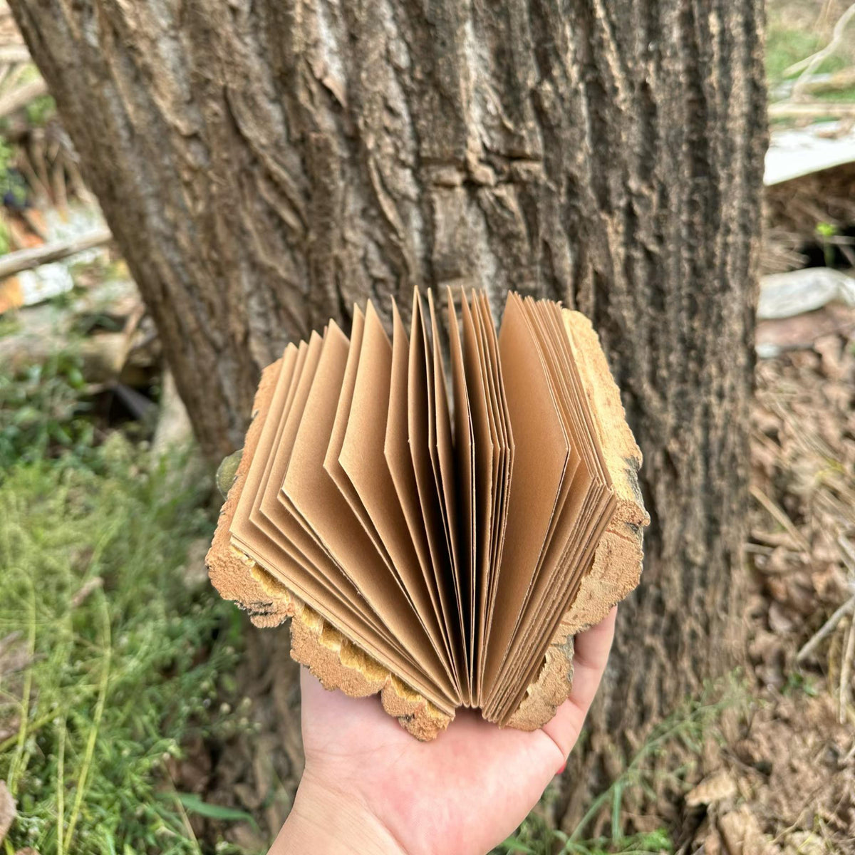 Handmade Bark-Textured Journal with Kraft Paper