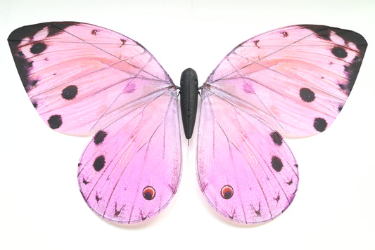 Bionic Butterfly Remote Control Aircraft